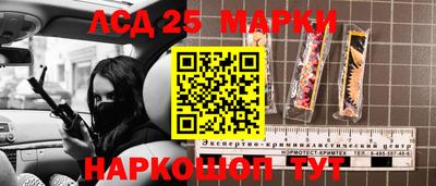 крисы Сланцы