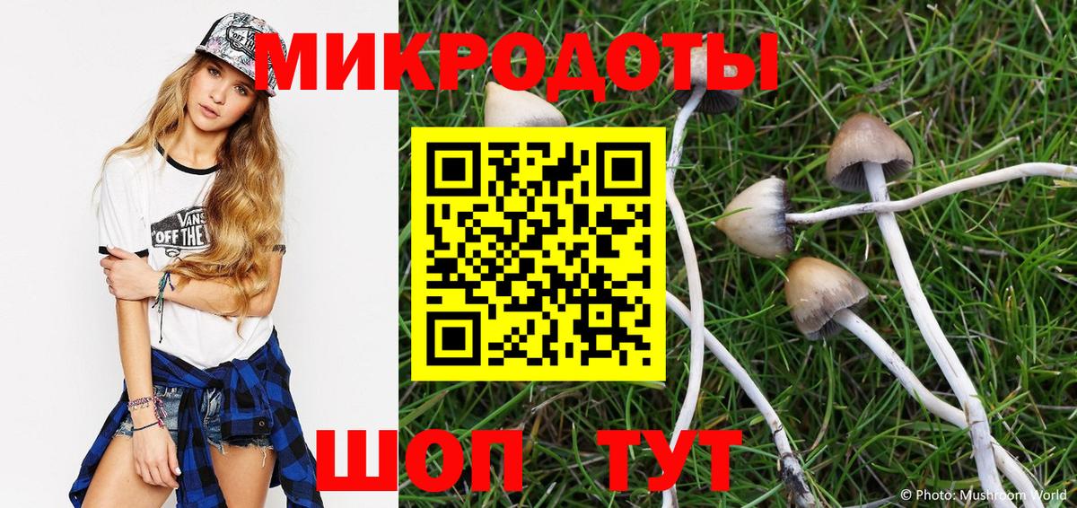 Псилоцибиновые грибы прущие грибы Новошахтинск