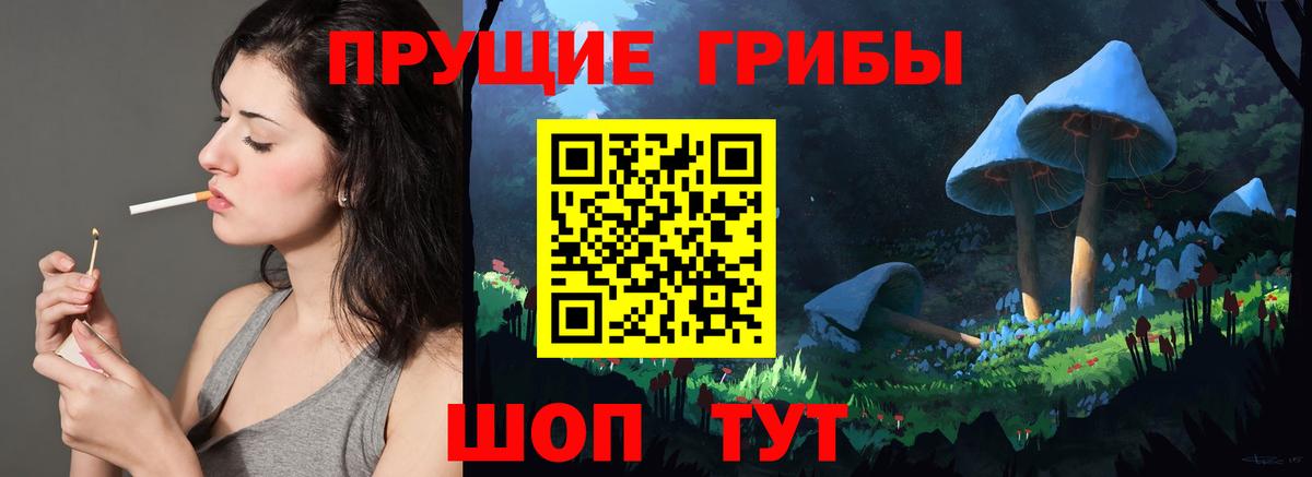 купить закладку  Галлюциногенные грибы Magic Shrooms  Вход с VPN  Новошахтинск 